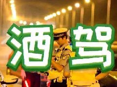 《最高人民法院 最高人民检察院 公安部 司法部关于办理醉酒危险驾驶刑事案件